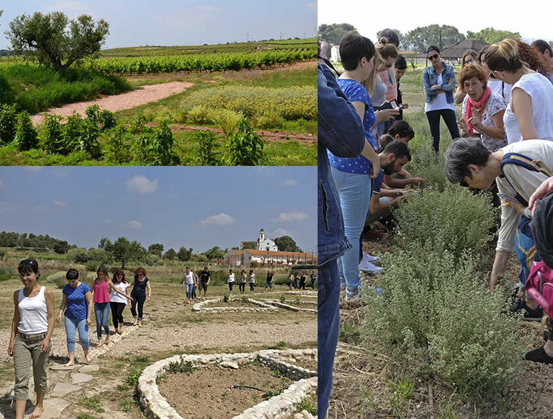 Aula natural Cal Vilanova - Institut IGEM